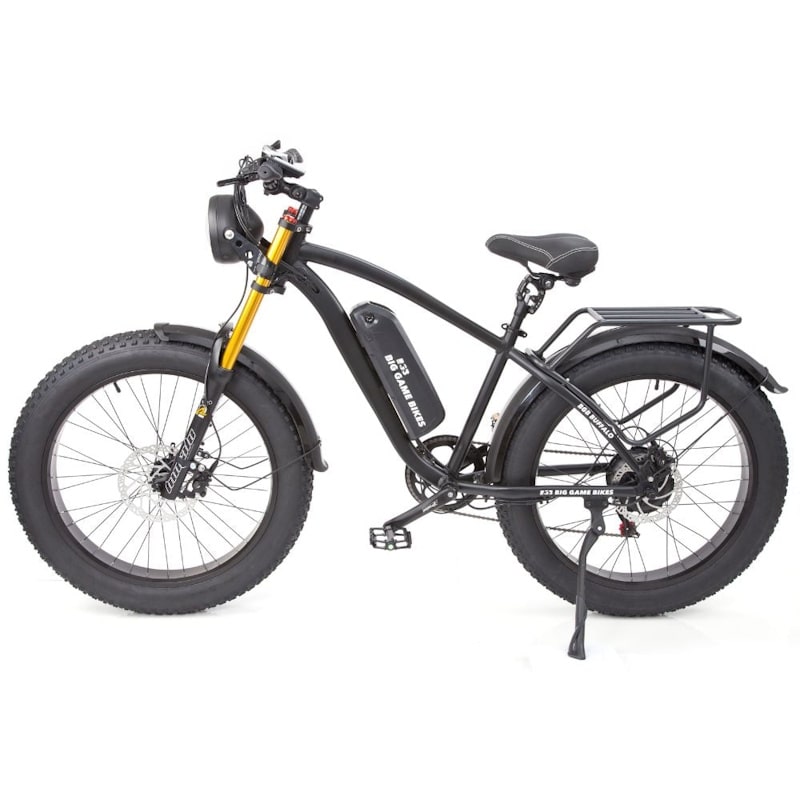 Big Game Bikes Buffalo Alpha Plus Electric Mountain Bike 250W