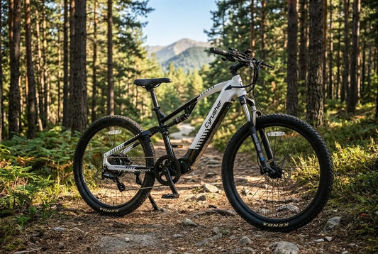 Electric bike batteries: the ultimate buying guide