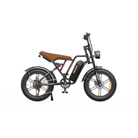 VARUN X-Plorer 250W Electric Bike E-Moped-Style Ride