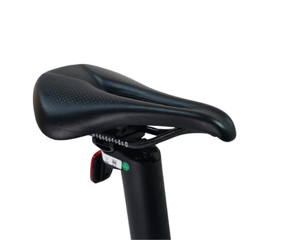 E-Go CarbonLite 3S Folding E-Bike 250W 15.5mph Top Speed EAPC 