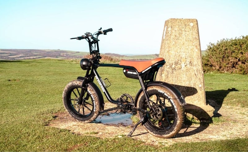 Big Game Bikes Warthog Cruiser E-Bike 250W 15.5mph Top Speed EAPC