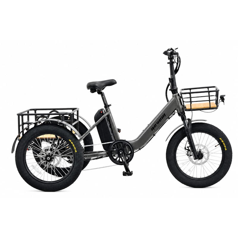 Revom T1F Folding Urban Electric Tricycle 250W 15.5mph Top Speed EAPC