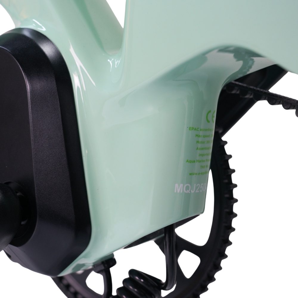 E-Go CarbonLite Folding E-Bike 