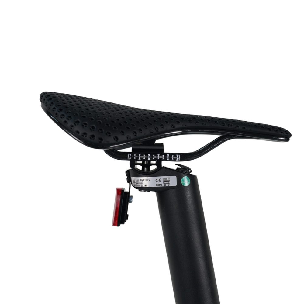 E-Go CarbonLite Folding E-Bike 