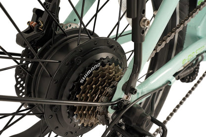 E-Go Step Shimano gearing detail