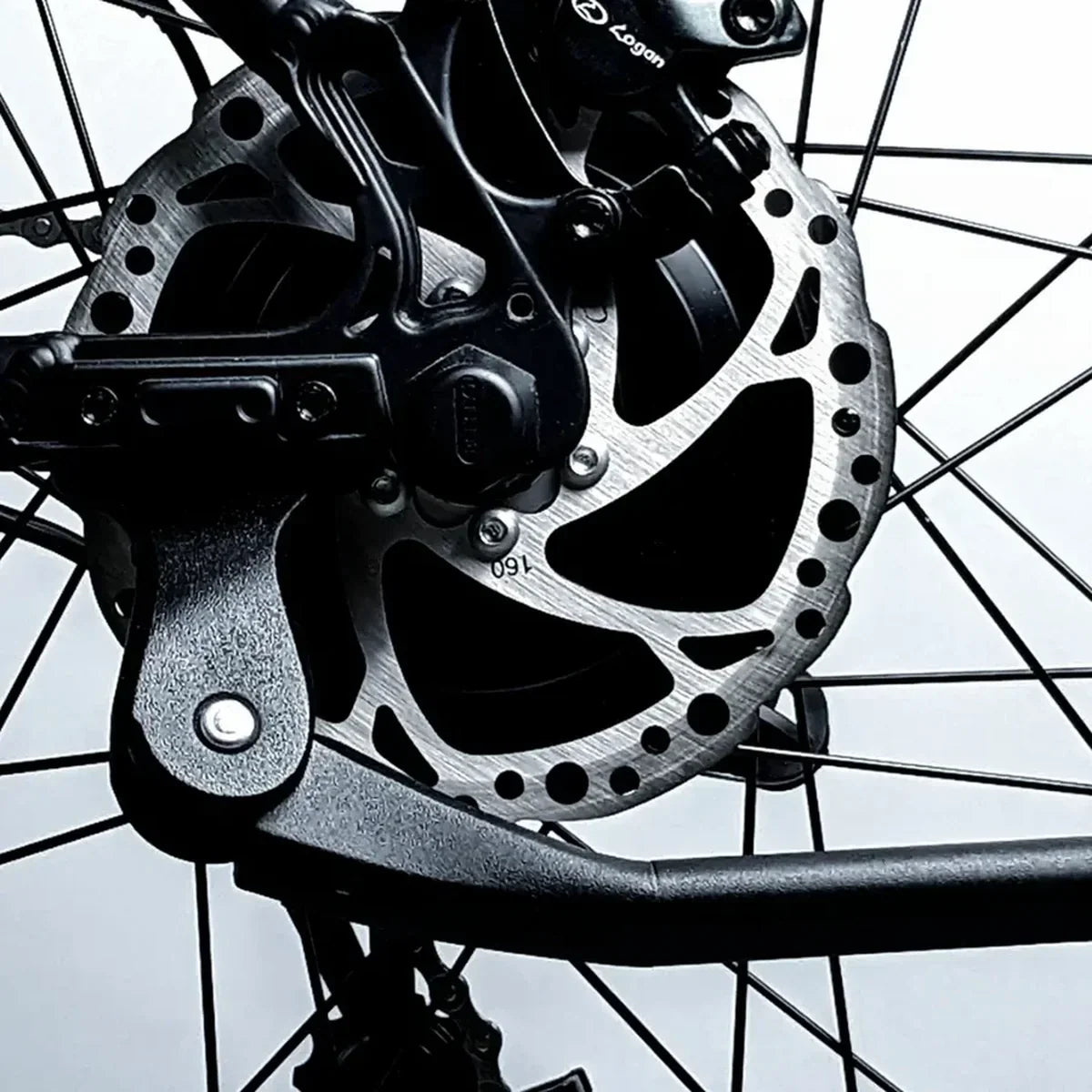 E-Movement Thor – Logan hydraulic disc brake and rotor close-up