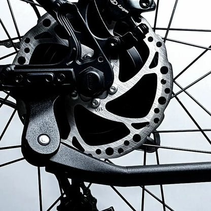 E-Movement Thor – Logan hydraulic disc brake and rotor close-up